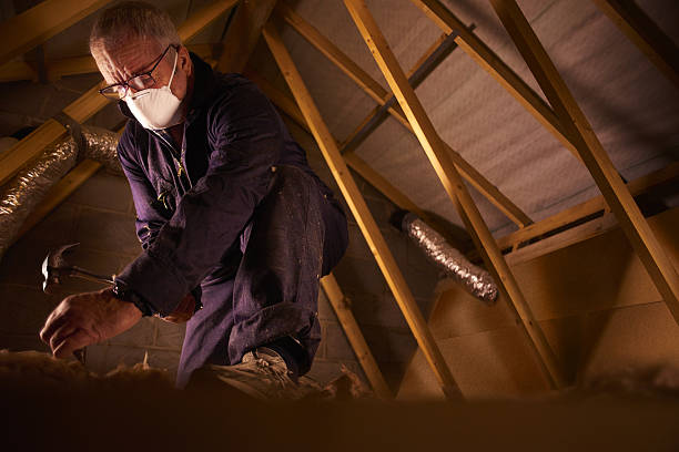 Best Types of Insulation in Livingston, CA