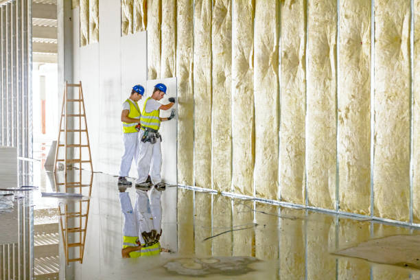Best Insulation for Specific Applications in Livingston, CA